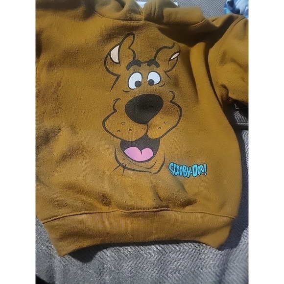 Scooby Doo Other - Vintage 90s Scooby Doo Hooded Sweatshirt 3T